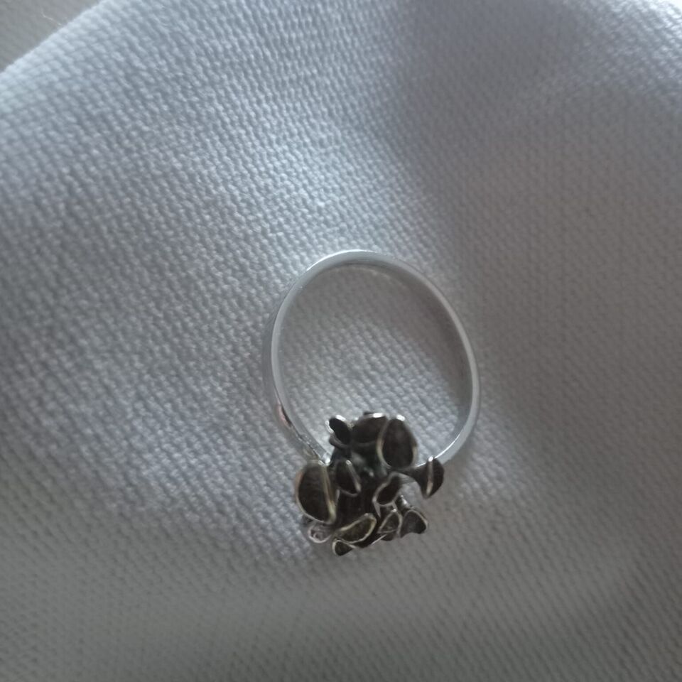 Mantar Pirinç & Gümüş Yüzük