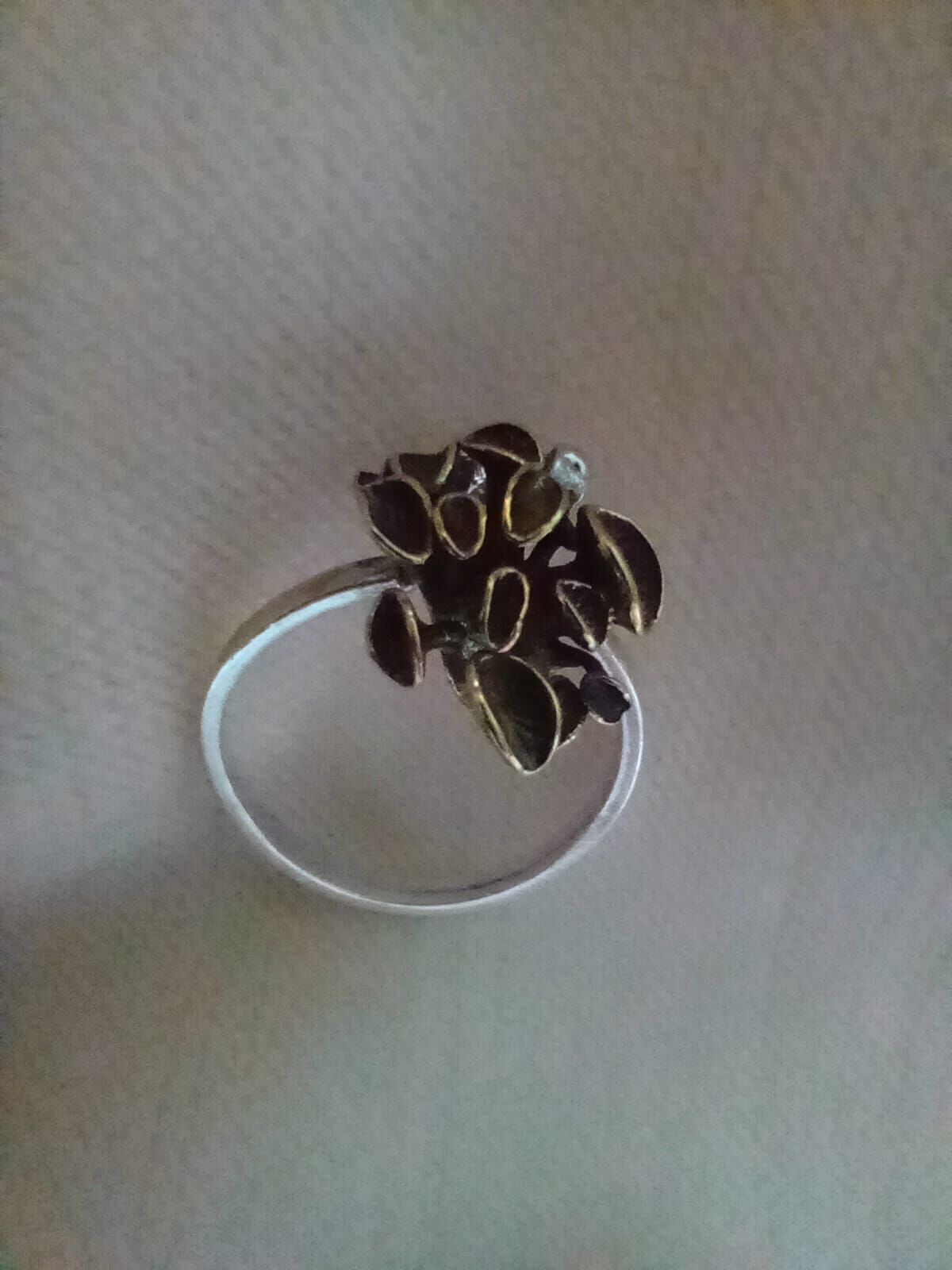 Mantar Pirinç & Gümüş Yüzük