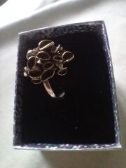 Mantar Pirinç & Gümüş Yüzük