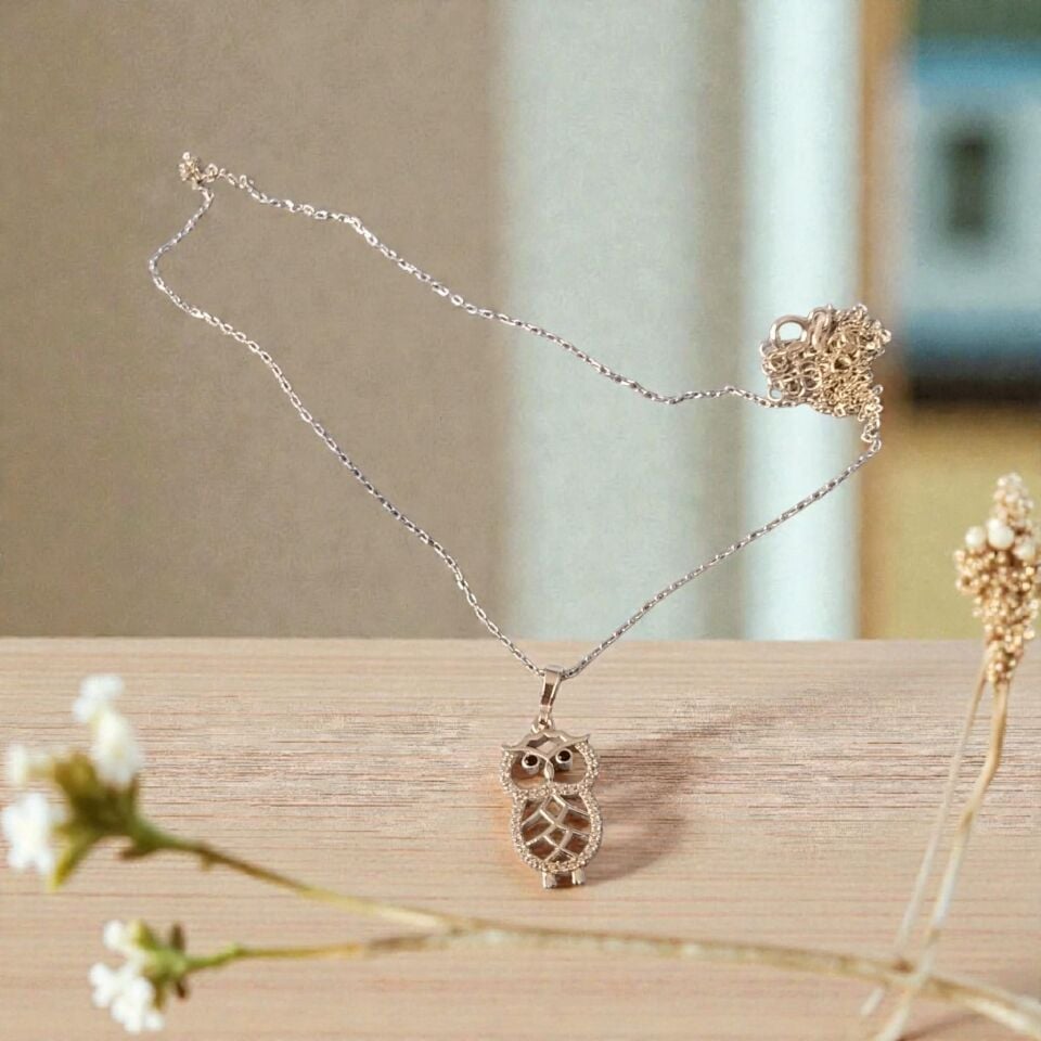 Gümüş 925 Ayar Zirkon Taşlı Baykuş Kolye ve 925 Ayar Gümüş  Zinciri