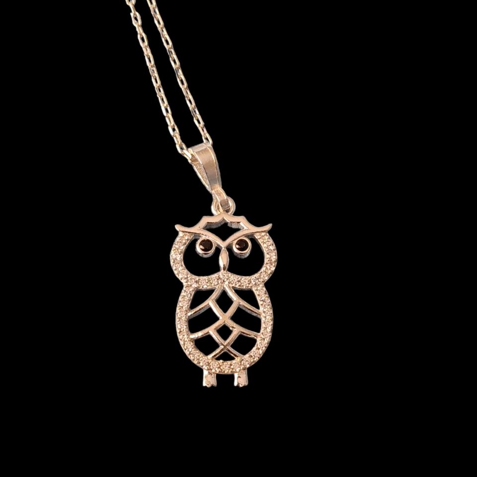 Gümüş 925 Ayar Zirkon Taşlı Baykuş Kolye ve 925 Ayar Gümüş  Zinciri