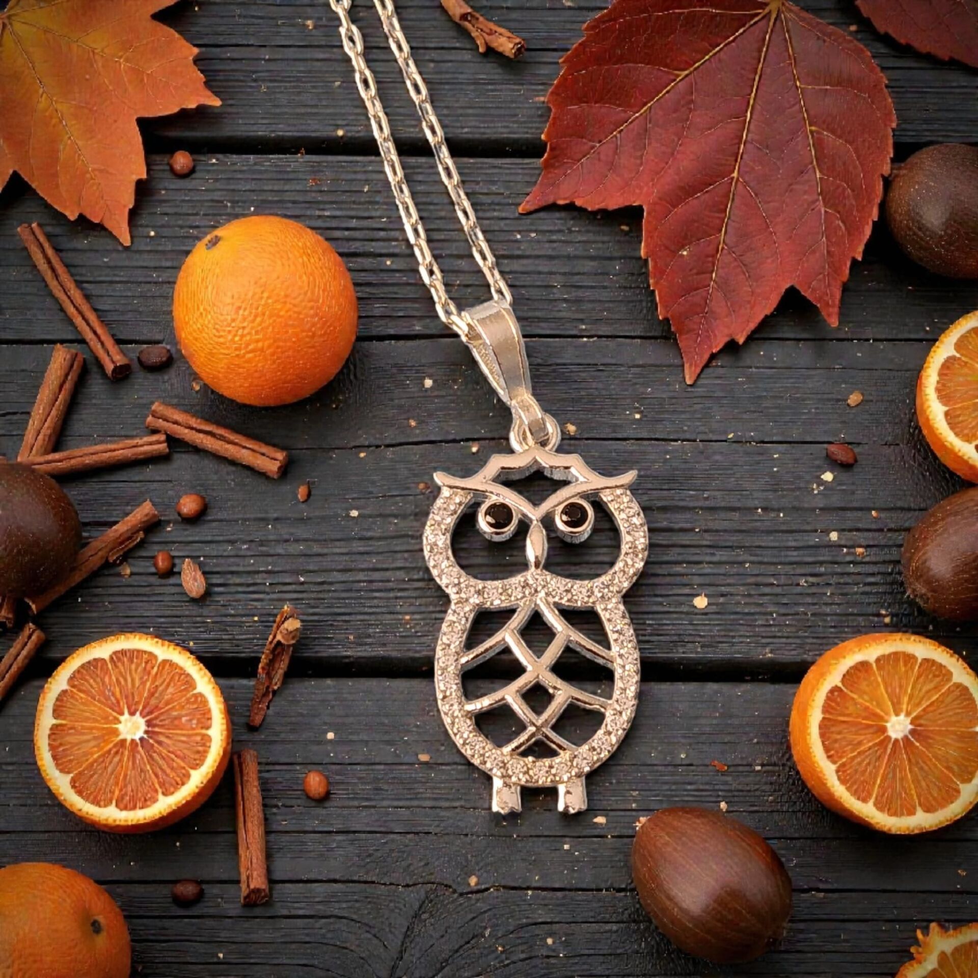 Gümüş 925 Ayar Zirkon Taşlı Baykuş Kolye ve 925 Ayar Gümüş  Zinciri