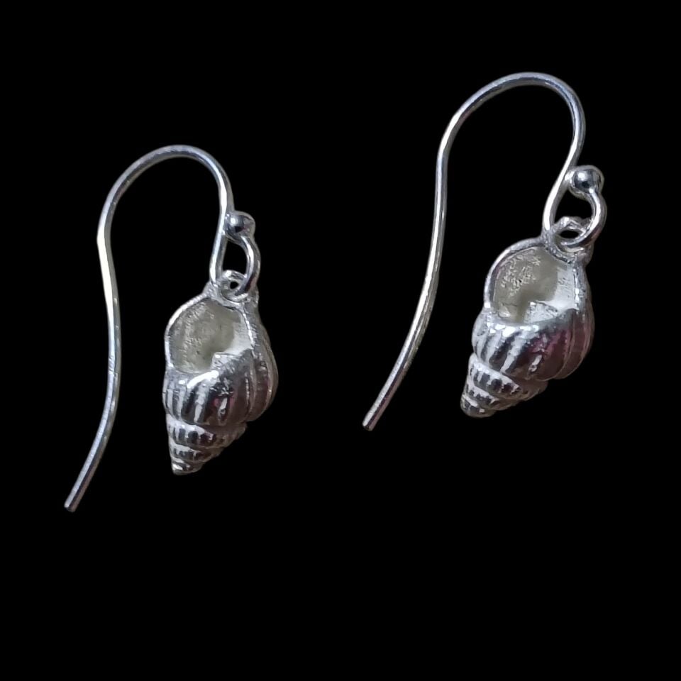 Deniz Kabuğu Gümüş Küpeler