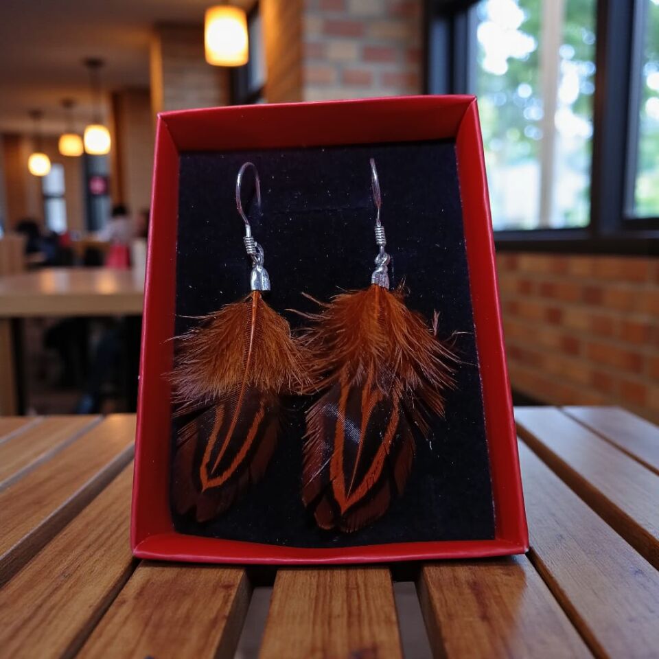 Kuş Tüyü Gümüş 925 Ayar Küpeler