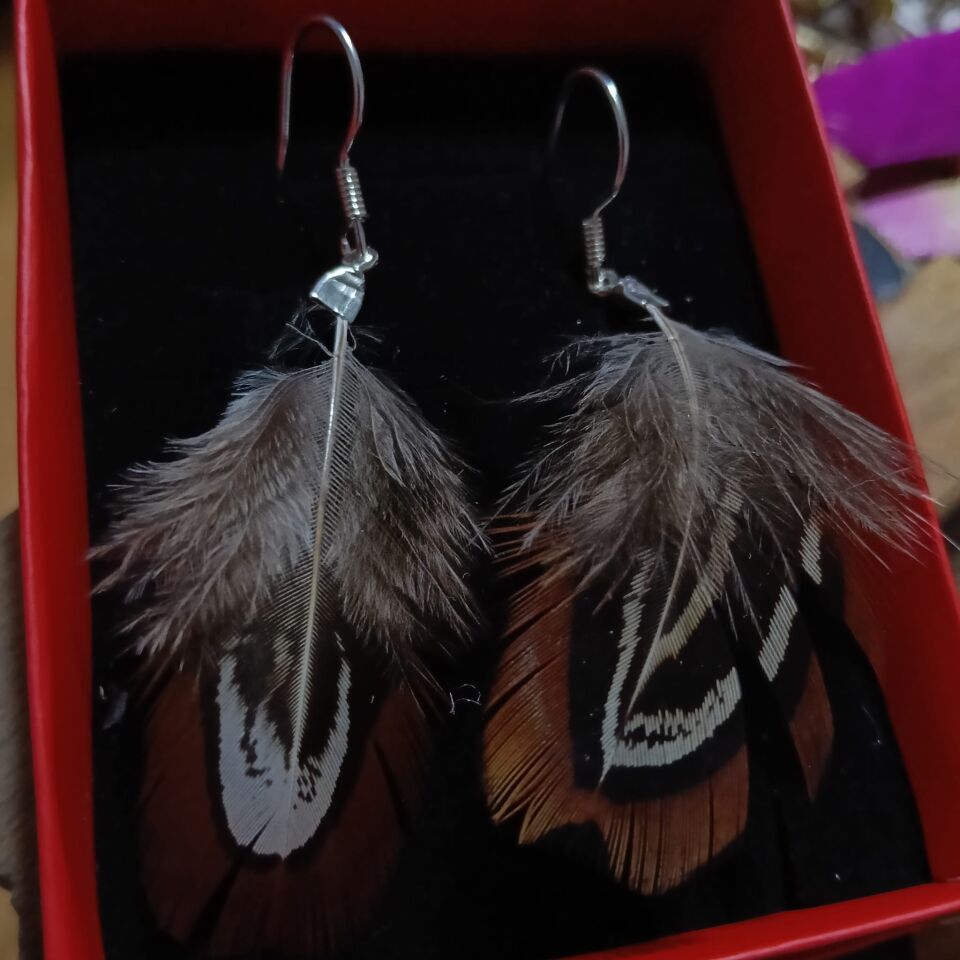 Kuş Tüyü Gümüş 925 Ayar Küpeler